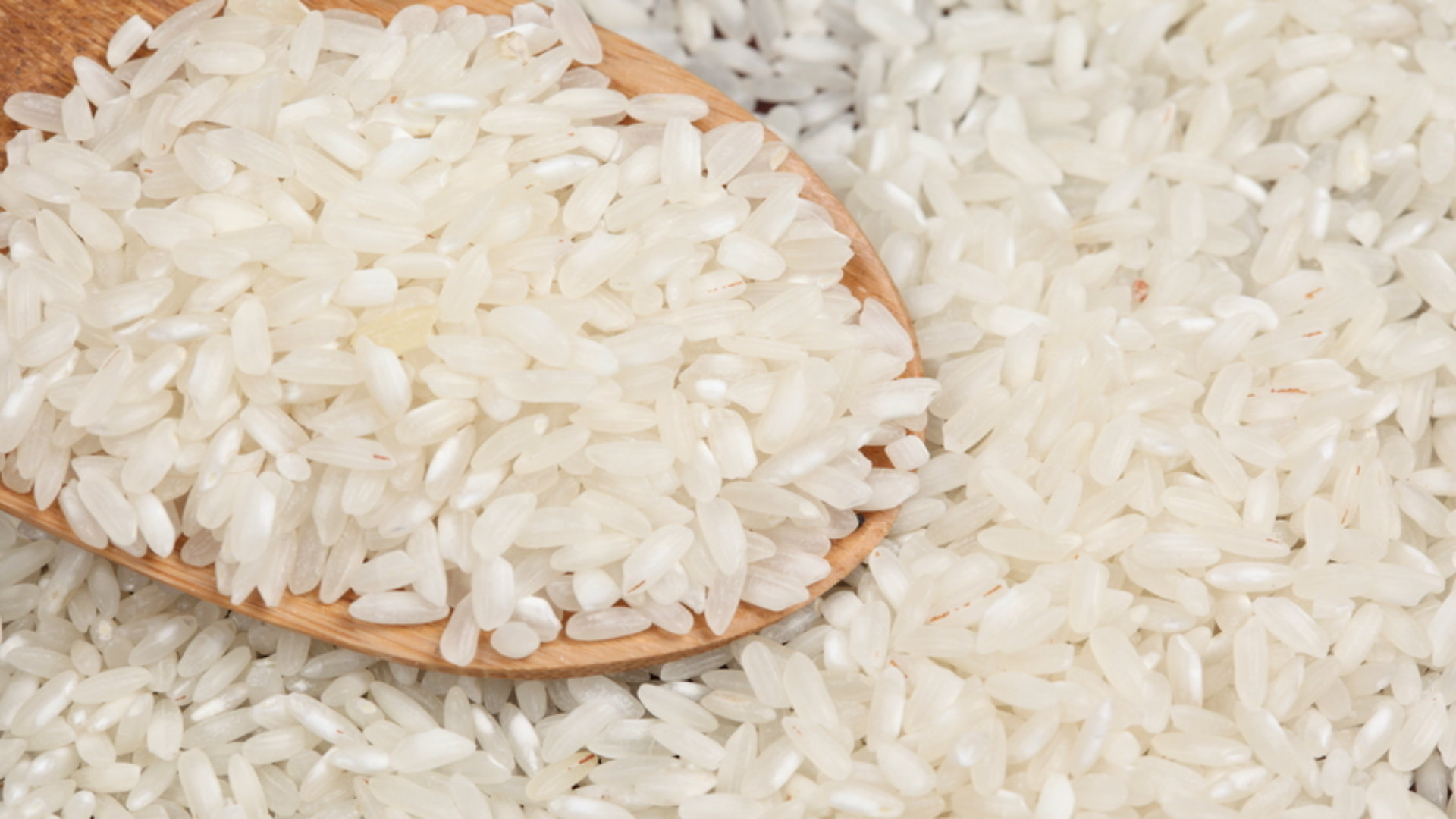 Resultado de imagen para imagenes de arroz
